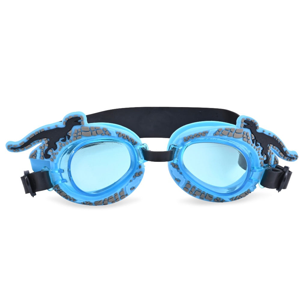 swim goggles
