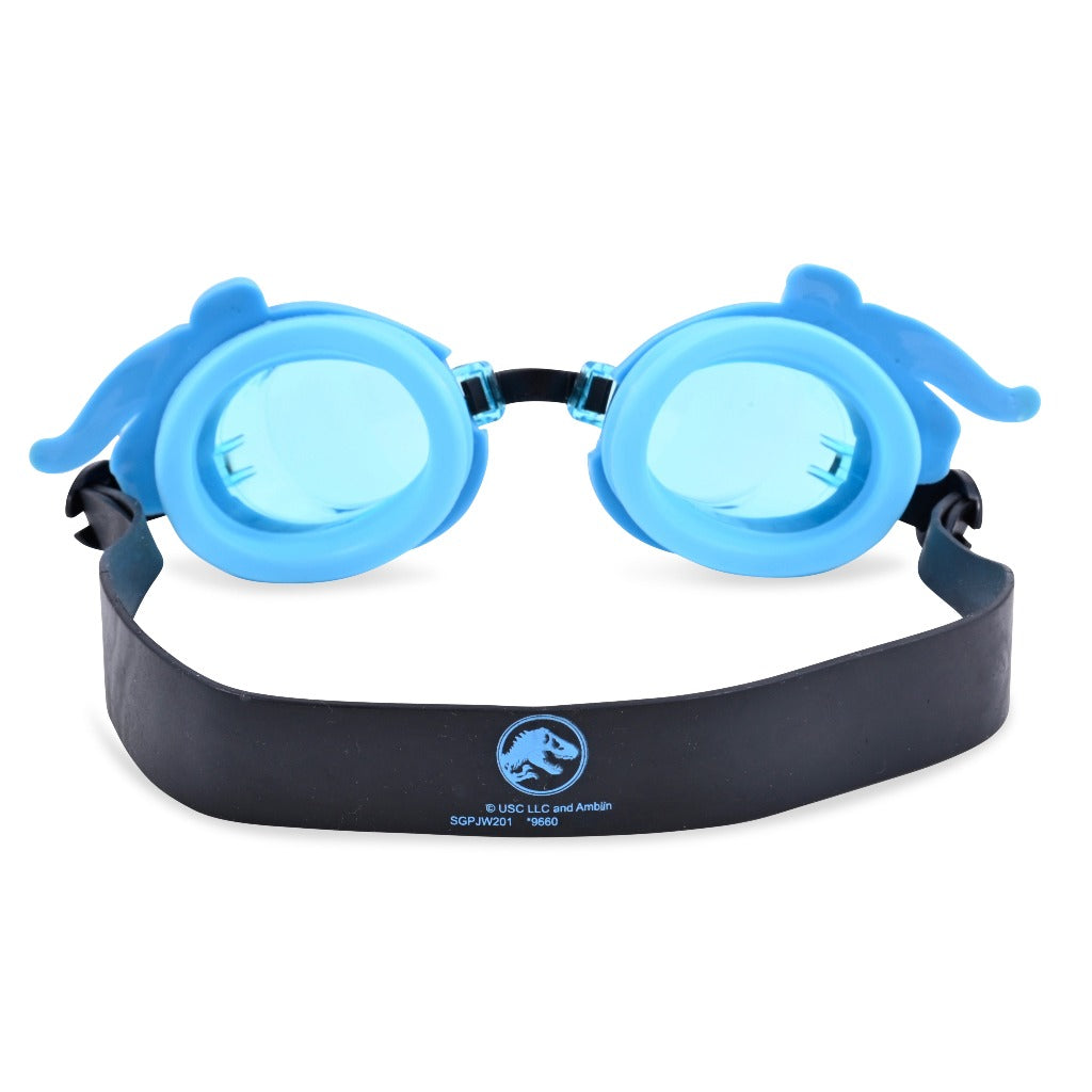 swim goggles